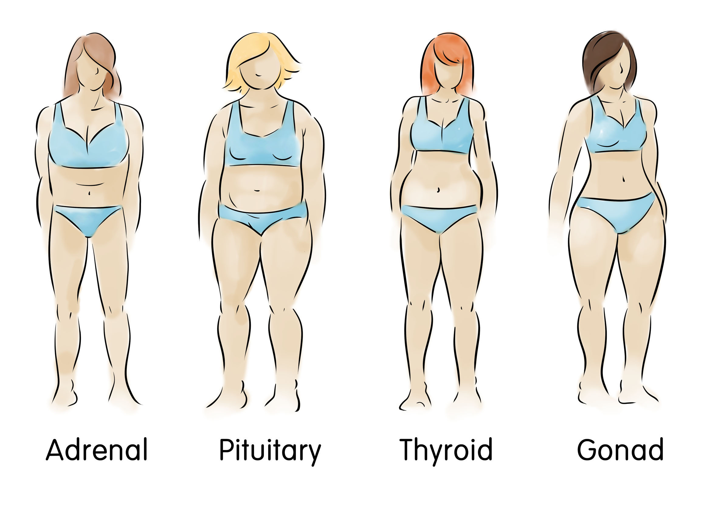 a pic of the 4 body types as not eating right for your body type is one of the weight gain causes