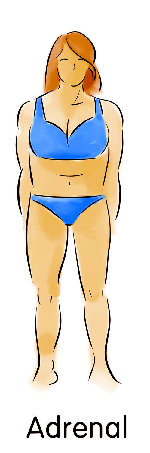 pic of one of the women body types the adrenal body type