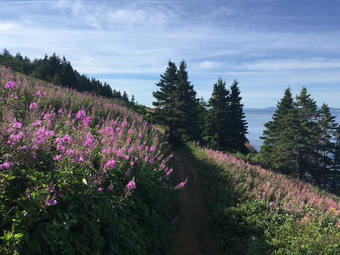 Gaspe bicycle tour