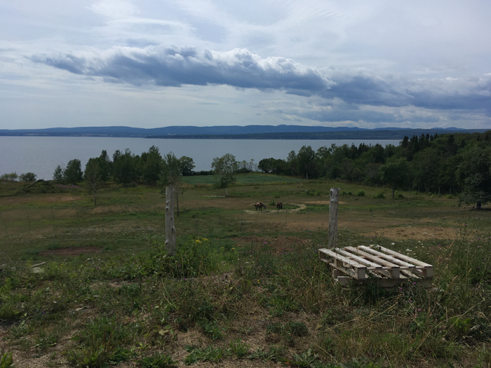 Gaspe bicycle tour