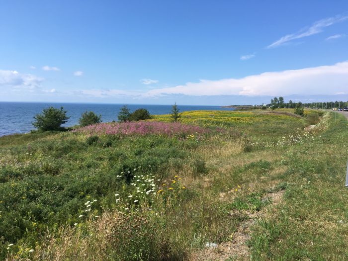 Gaspe bicycle tour