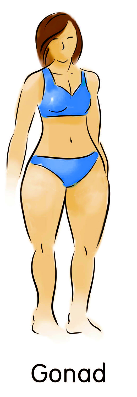 pic of one of the women body types the gonad or pear body type