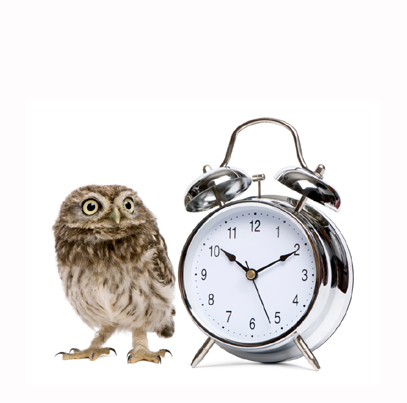 pic of an owl and clock showing the adrenal body type is a night owl