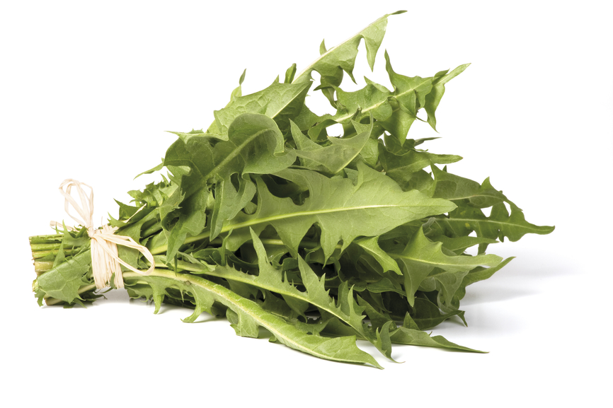 a picture of dandelion so you know that a liver cleanse recipe can start with dark bitter greens