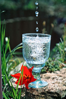 a pic of a glass of water as drinking lots of water is key for your natural detox remedy